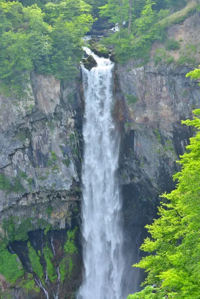 DSC_3970 (Large).JPG